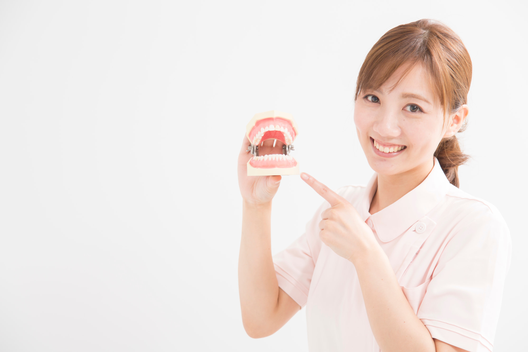 子どもが出っ歯になるのを予防する方法について歯の模型を使って説明する歯科衛生士