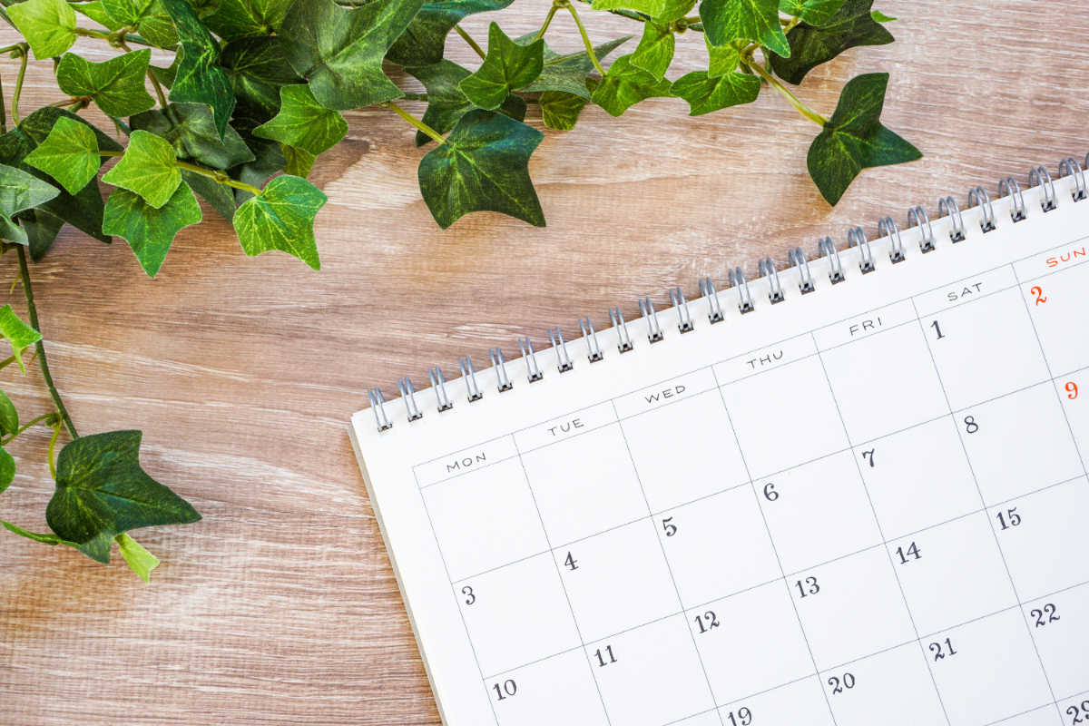 マウスピース矯正で叢生を治す場合の期間